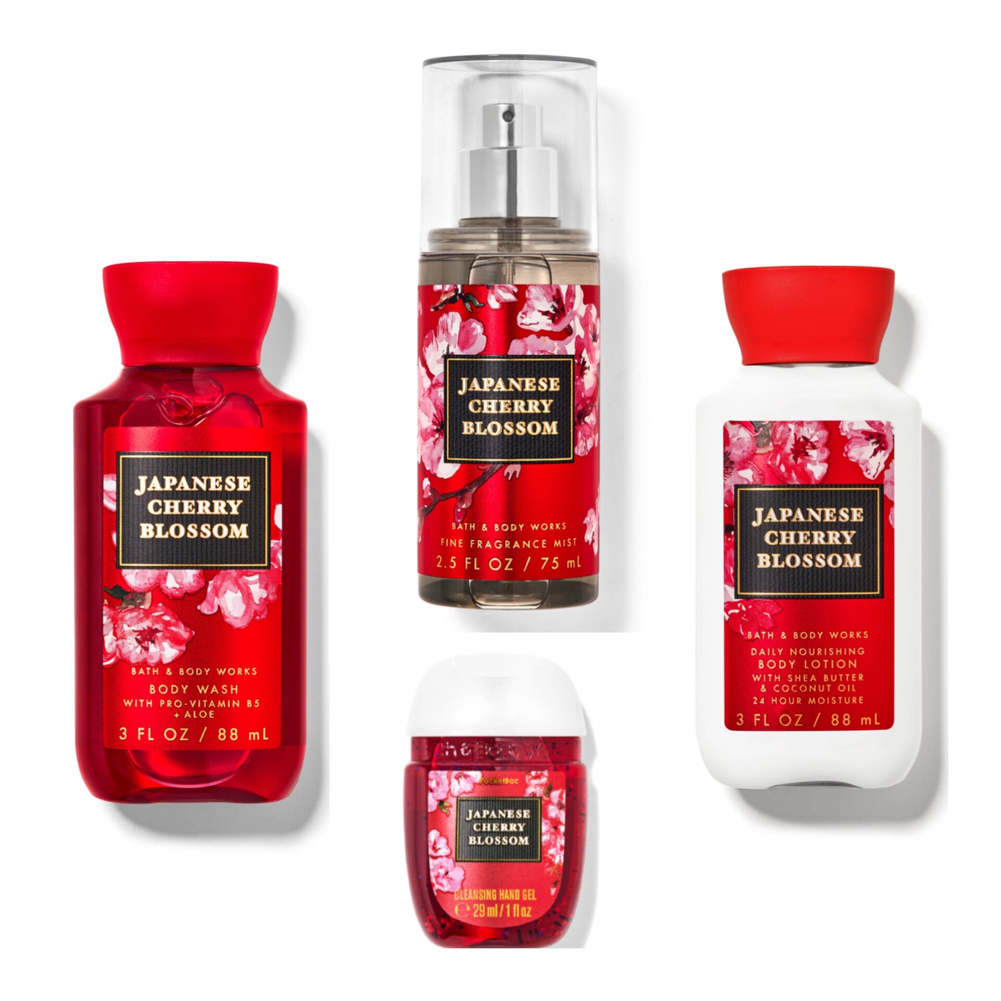 Japanese Cherry Blossom