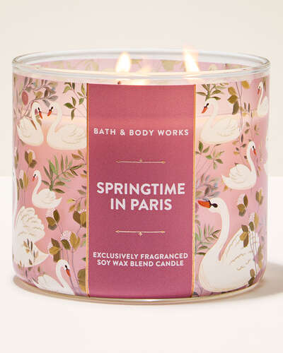Springtime In Paris