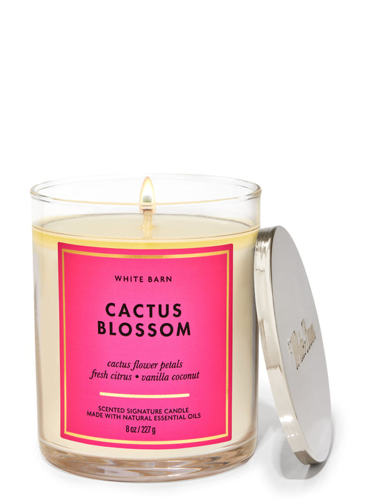 Cactus Blossom