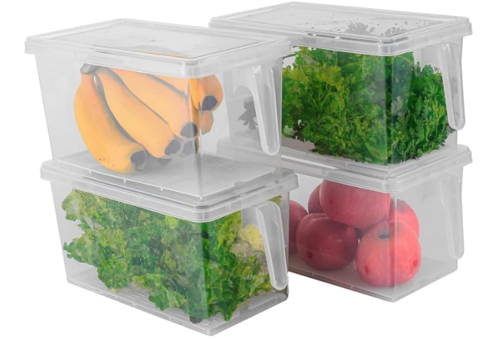 Plastic Storage Container with Lids and Handles