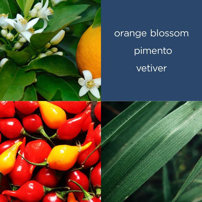 The Face Shop - Daily Moment Vegan Hand Cream (Travel Size)