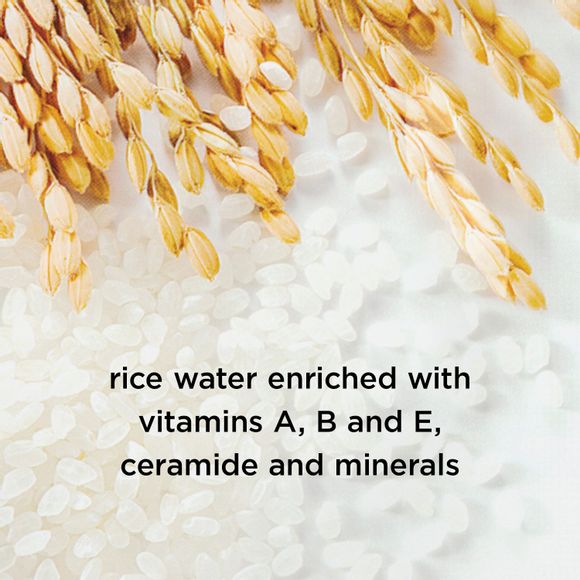 Rice Water Bright Mild Cleansing Water