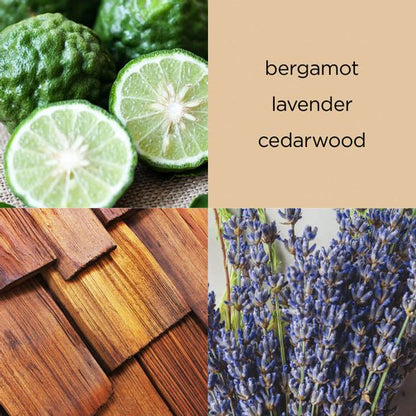 The Face Shop - Daily Moment Vegan Hand Cream (Travel Size)