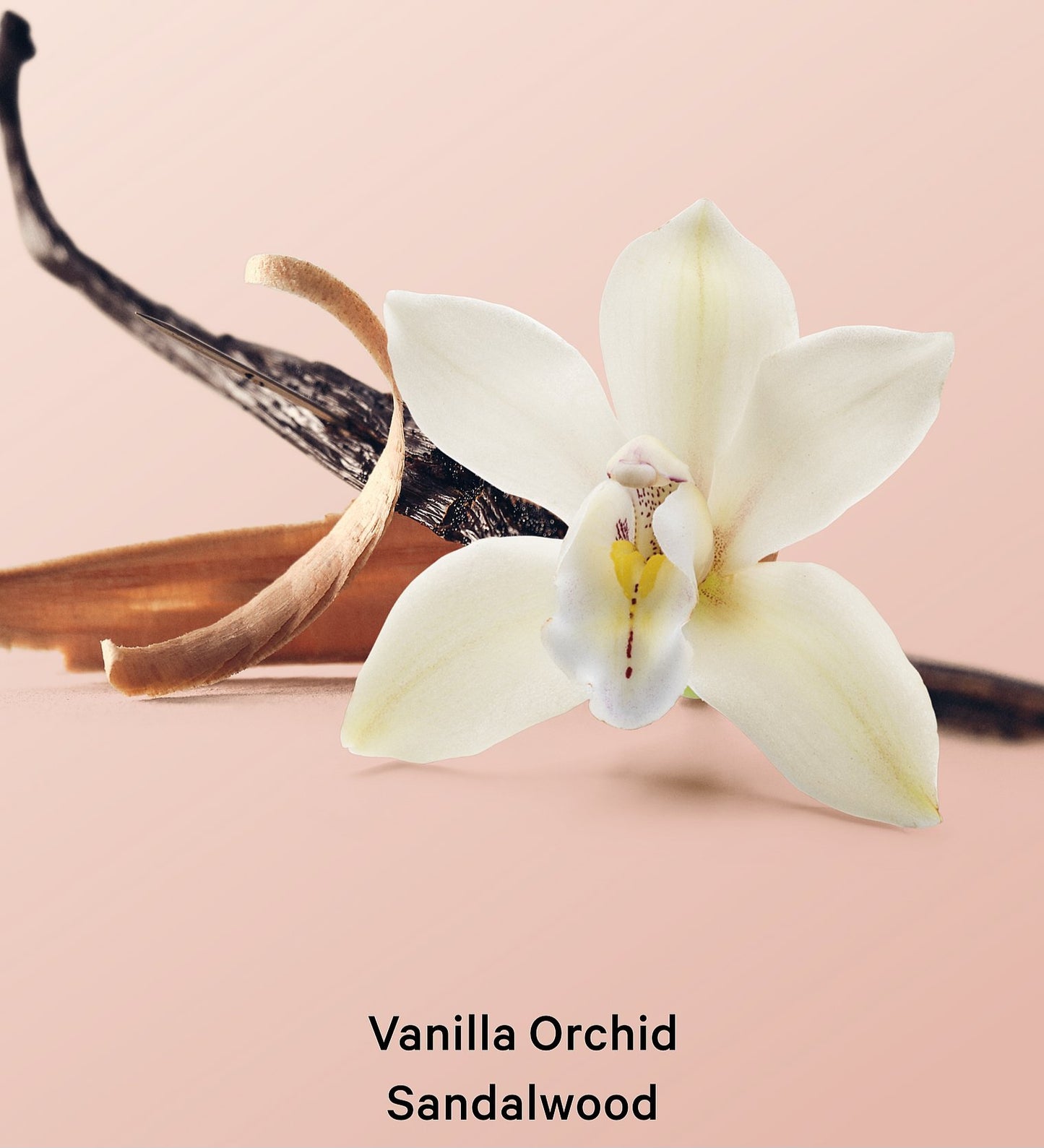 Vanilla Orchid Sandalwood