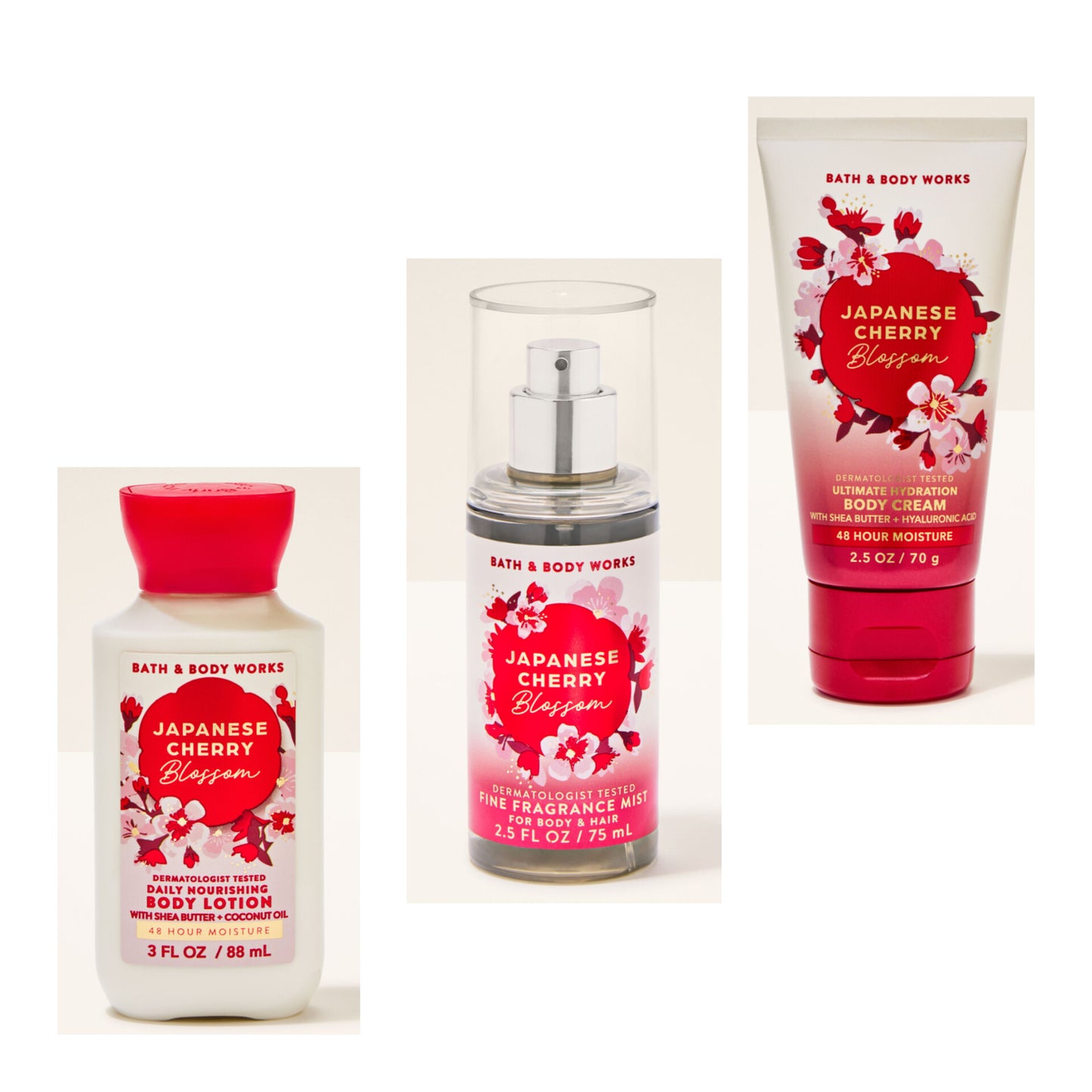 Japanese Cherry Blossom