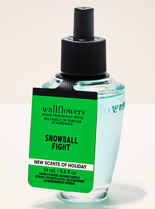 Snowball Fight