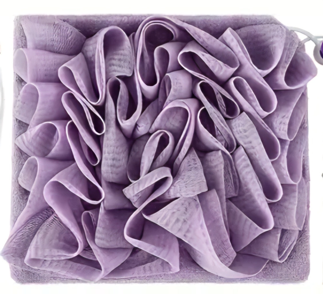 2-in-1 Loofah Sponge with String