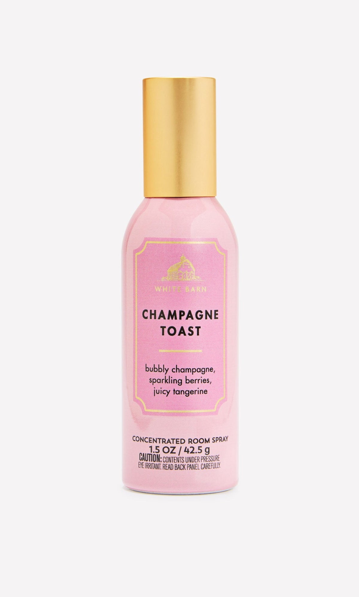 Champagne Toast